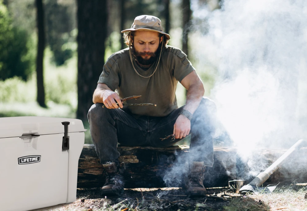 portable cooler box for car