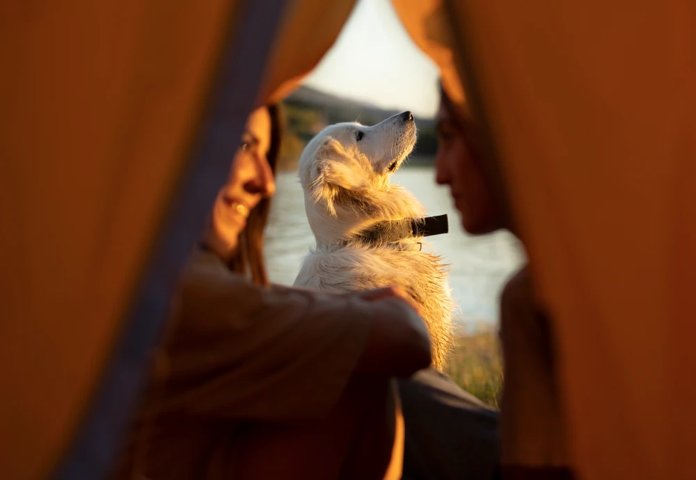 ultralight mesh tent